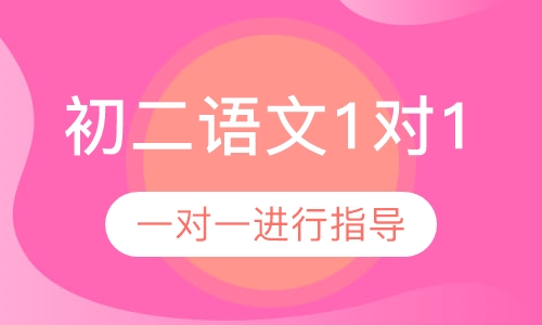 初二语文1对1辅导