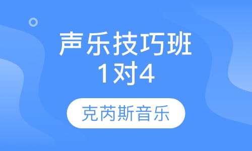 声乐技巧班 1对4