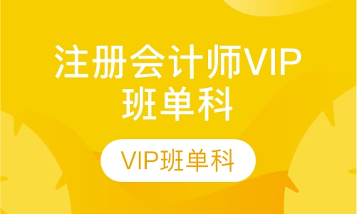 注册会计师VIP班单科