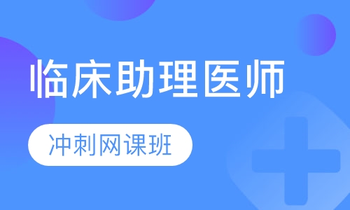 临床助理医师冲刺网课班