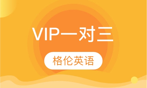 VIP一对三