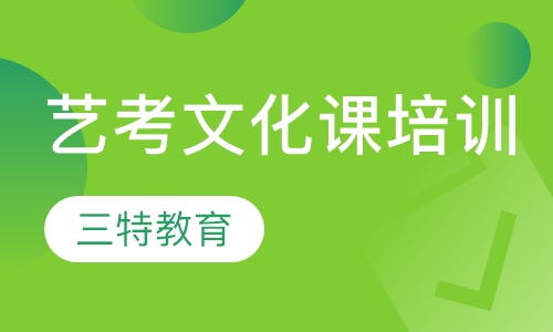 艺考文化课培训