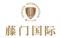 深圳藤门国际教育