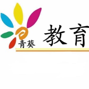 烟台青葵教育