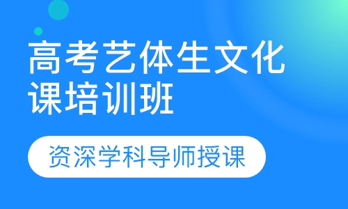 2021年高考艺体生文化课培训班