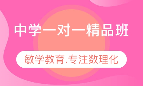 中学一对一精品班