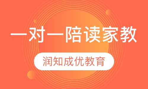 一对一陪读