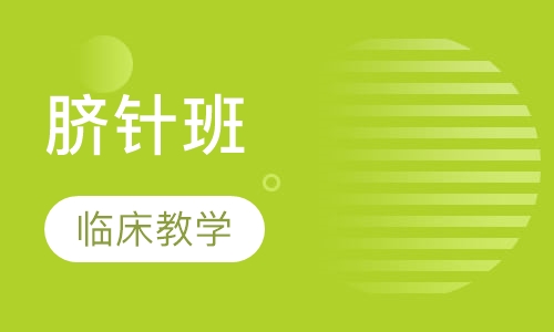 脐针班