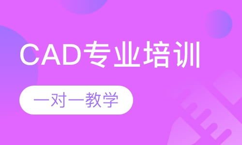 厚街桥头哪里有专业的CAD培训？