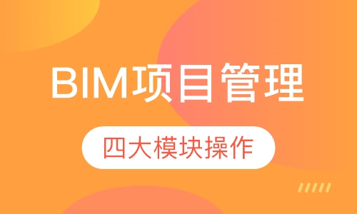 BIM项目管理 （取证+实操班）
