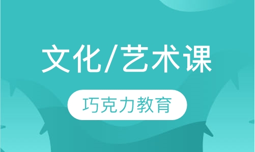 文化/艺术课辅导