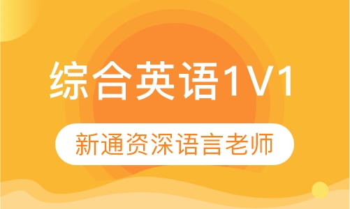 寒假班-综合英语1V1