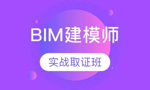 BIM建模师实战取证班