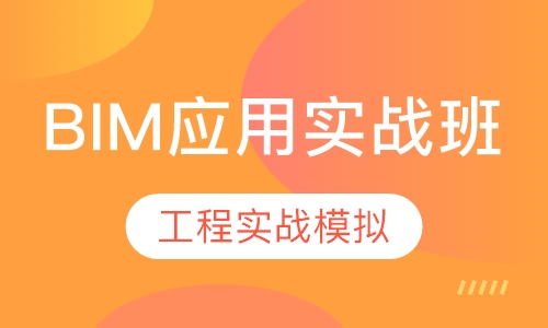 BIM应用实战班