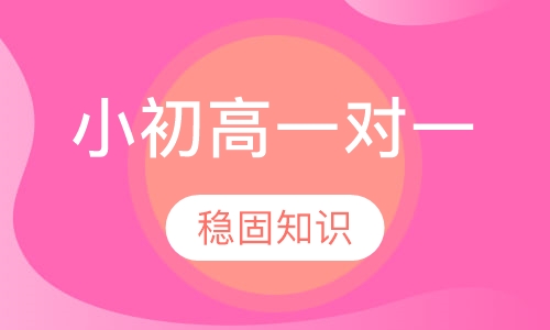 小初高一对一教学