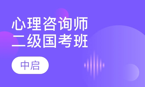 心理咨询师二级国考委专家班