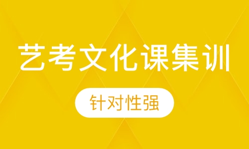 艺考生文化课集训