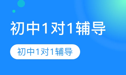 初中1对1辅导