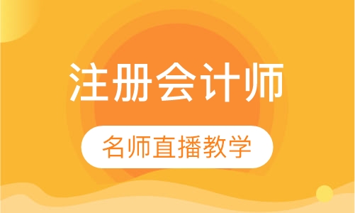 CPA注册会计师