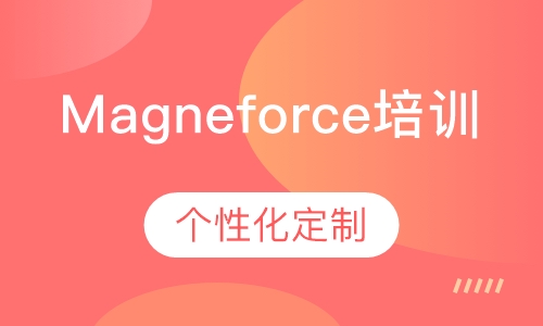 Magneforce培训班