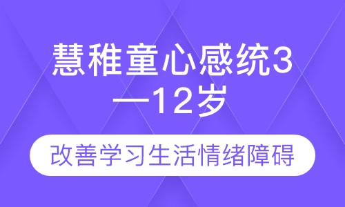慧稚童心感统课二3--12岁