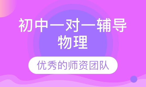 初中一对一辅导物理