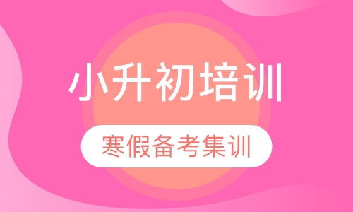 小升初语文寒假备考集训班
