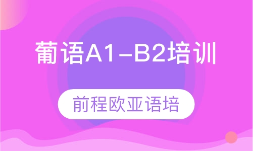 葡萄牙语A1-B2培训