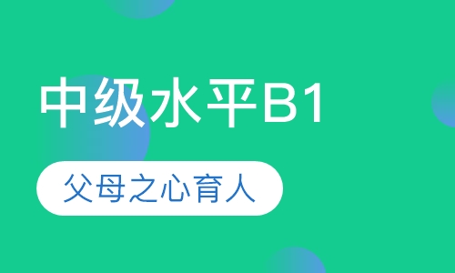 中级水平：B1