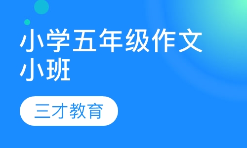 小学五年级作文中南路精品小班招生