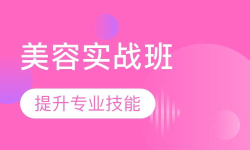 师精英实战班