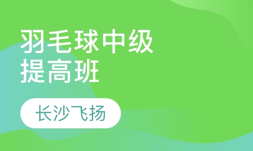 羽毛球中级提高班
