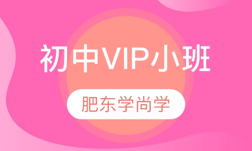 初中VIP小班