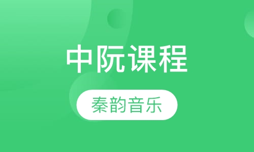 中阮课程