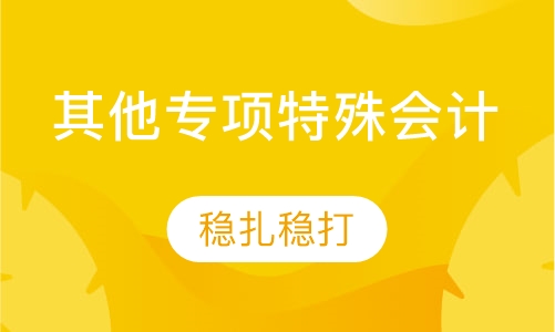其他专项特殊会计