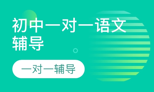 初中一对一语文辅导
