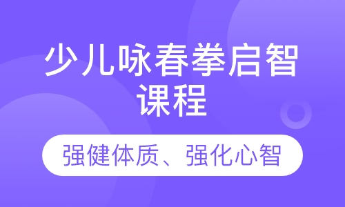 少儿咏春拳启智课程