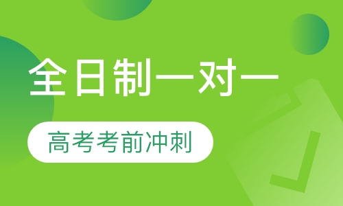 高考全日制一对一