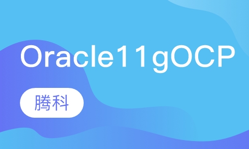 Oracle 11g OCP培训
