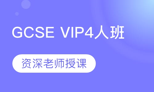 GCSE VIP4人班