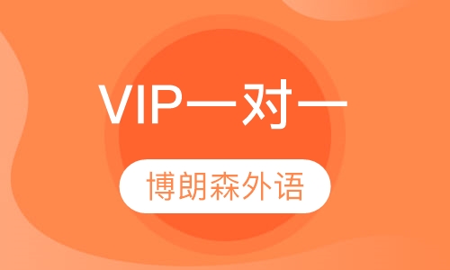 VIP一对一