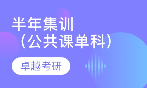 半年集训（公共课单科）