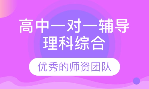 高中一对一辅导理科综合