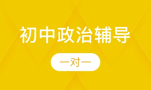 初中一对一政治辅导