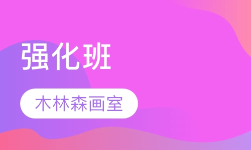 强化班