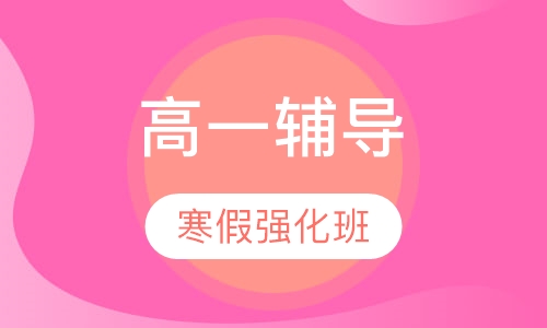 高一寒假强化班