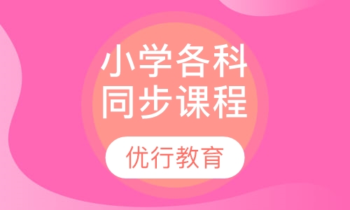 小学各科同步辅导课程一对一