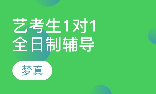艺考生1对1全日制辅导
