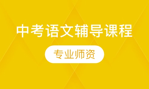 中考语文辅导课程