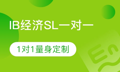 IB经济SL一对一